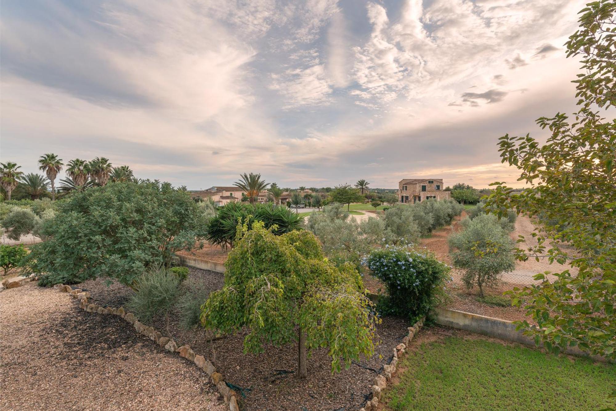 Finca Hotel Can Canals & Spa Campos  Extérieur photo